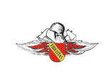 Freiwillge Feuerwehr Durlach-Aue e.V.